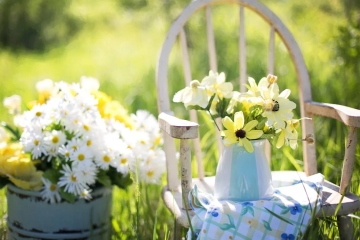 Gartenarbeit wie Rasenmähen, Pflege, Hecken schneiden