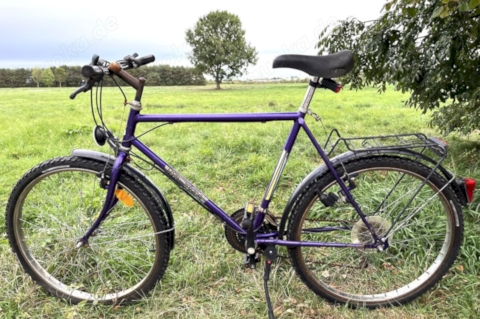 Monza 18-Gang Herrenrad von 1990, 26 Zoll: Fährt, schaltet und bremst, S-Bahn-Rad