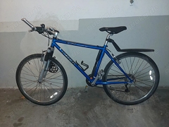 Damen Mountainbike
