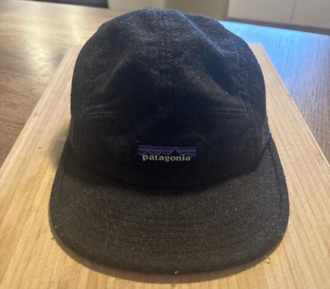 Patagonia Cap Filz