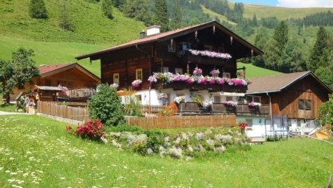 Günstige Ferienwohnung Österreich Land Salzburg nahe Zell am See (25km)