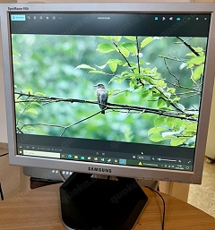 Samsung Monitor