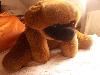 TeddyBär groß sucht neues Zuhause