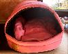 Hundebett neu