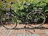 Hochwertiges 28er WINORA Damen Alu Trekking Rad Cityrad 7 Gang mit Rücktritt TOP!