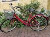 Schönes 26 er Damen Fahrrad Cityrad 6 Gang Shimano Trommelbremse TOP!