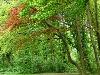Waldgrundstück bei München zu verkaufen