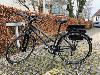 Damen-Trekking-Fahrrad unbenutzt