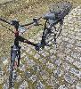 Staiger Sinus BC 30 f nur 287 Km wie Neu