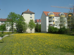 Mitten in Laim