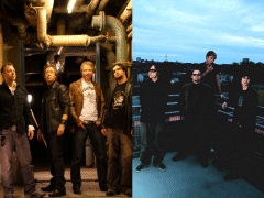 Live-Konzert mit The Tamed und Sonopack