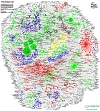 Wie sieht das Internet aus?