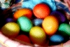 Hasenpreise bei LAIM-online