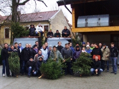 Christbaumentsorgung der Jungen Union voller Erfolg