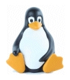 Linux löst Windows ab