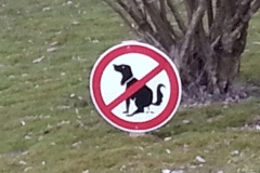 Osterspaziergang mit Hindernissen