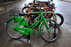 Laim ist bunt!