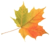 Herbstbilder