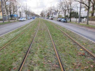 Sanierung der Agnes-Bernauer-Straße - Anlieger sollen zahlen