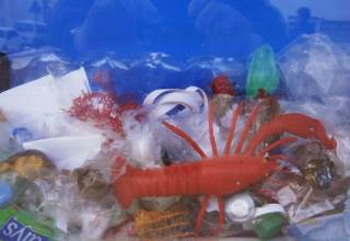 Plastikmüll