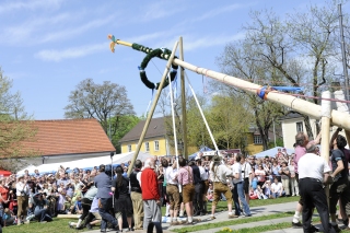 Mithilfe für das Umlegen des alten Maibaums am 02.04.16 ab 9.00 Uhr am Laimer Anger gesucht!