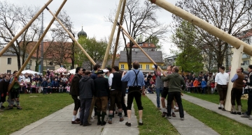 Laim hat wieder einen Maibaum