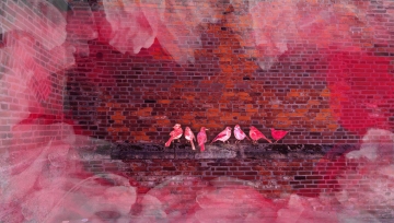 Ich zeichne deine Welt - Vernissage zur grafischen Kunst von Sabine Haag