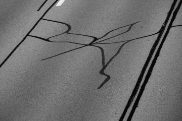 Oben und unten - Fotoprojekt von Schülerinnen und Schülern des Ludwigsgymnasiums