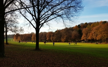 Gehölzpflege im Westpark