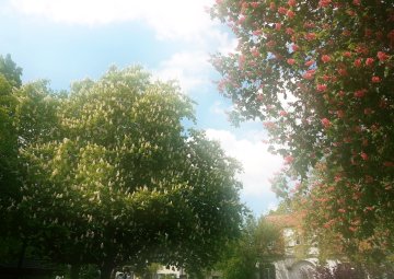 Wettbewerb