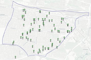 Standorte für neue Baumpflanzungen in Laim