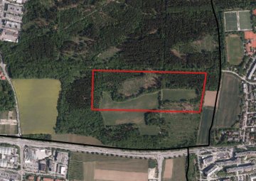 Bürgerengagement: Keine Kiesgrube im Lochhamer Schlag!