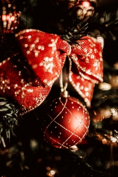 Frohe Weihnachten!