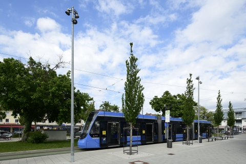Personalengpass: Tram 29 entfällt bis auf Weiteres