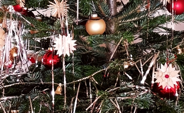 Frohe Weihnachten und ein gutes neues Jahr!