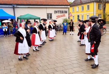 Maifeier der Laimer Maibaumfreunde auf dem Laimer Anger - feucht, aber erfolgreich