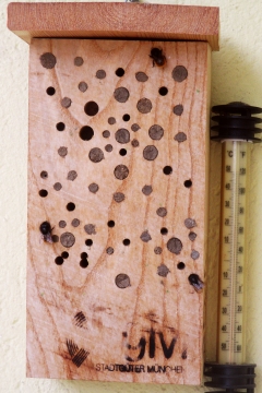 Insektenhotel am Balkon - gut gebucht und gut besucht!