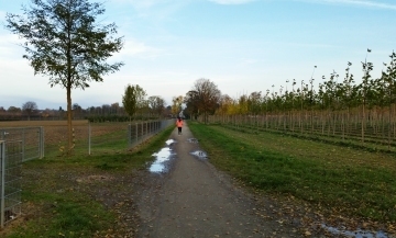 Landschaftspark West: Planungen werden fortgeschrieben