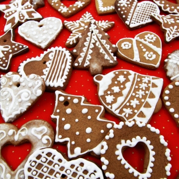 Frohe Weihnachten und ein gutes neues Jahr!