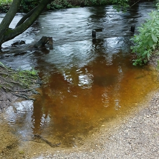 Würm-Hochwasser - ein paar Zentimeter. Was ist hier mit dem Wasser passiert? 