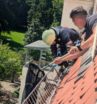 Kater Beasley hält Einsatzkräfte auf Trab