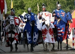 2. Freie Ritterturney zu München Anno Domini 2008
