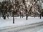 Winter in Laim